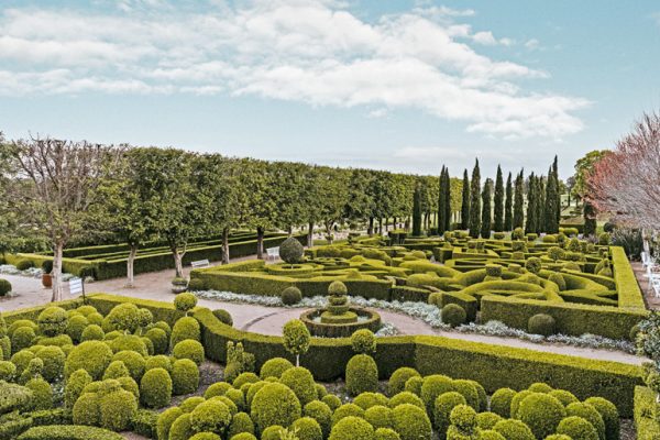 Искусство под открытым небом